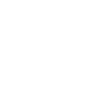 American dental associate logo white